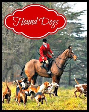 hound dogs