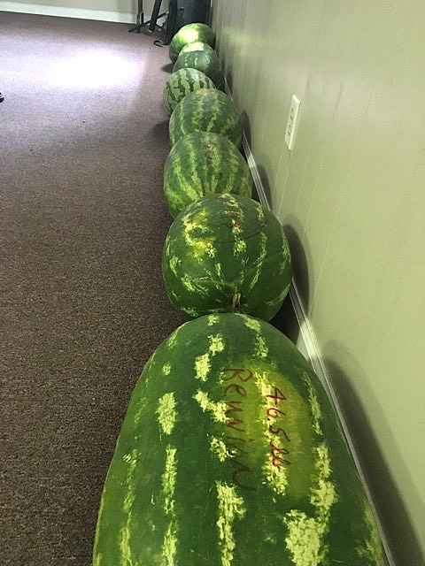 watermelons and Family reunion food - Leslie Anne Tarabella blog