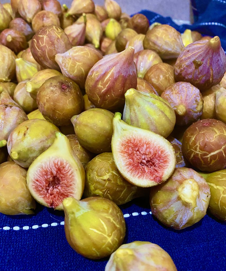 Southern figs - Putting up summer figs - Leslie Anne Tarabella